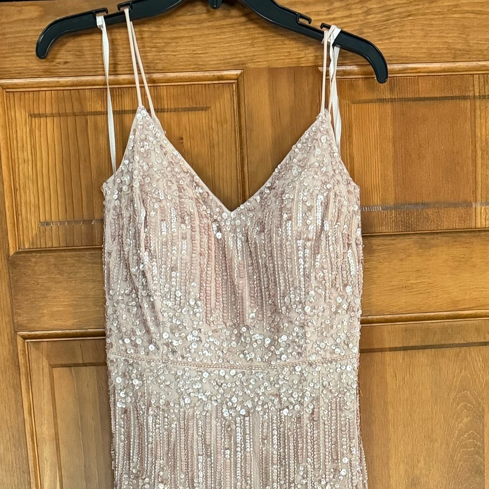 Adrianna Pappel Platinum Formal Gown